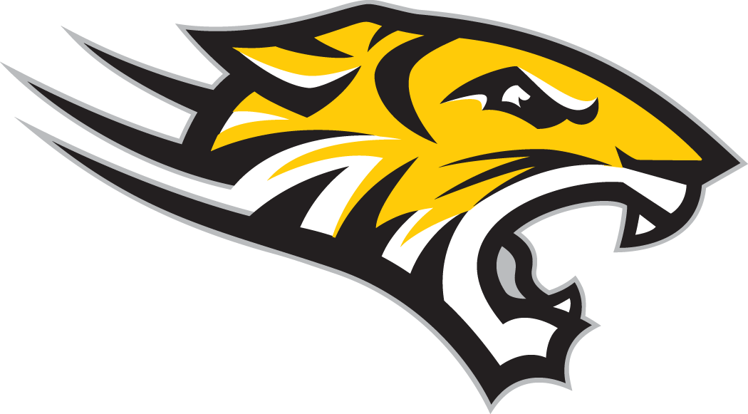 Towson Tigers 2004-Pres Alternate Logo v4 iron on transfers for T-shirts...